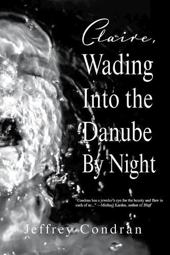 Cover image for Claire, Wading Into the Danube By Night