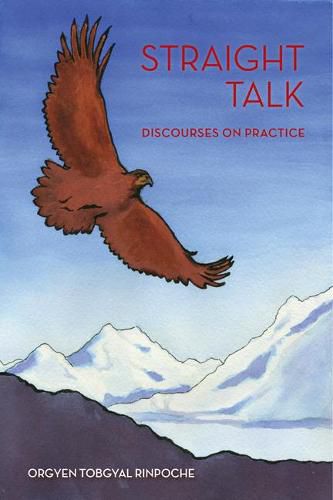 Cover image for Straight Talk: Discourses by Orgyen Topgyal Rinpoche