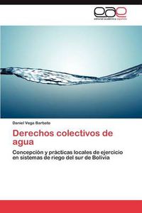 Cover image for Derechos colectivos de agua