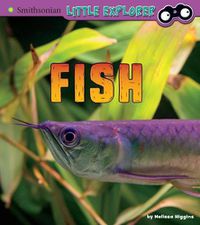 Cover image for Fish: a 4D Book (Little Zoologist)