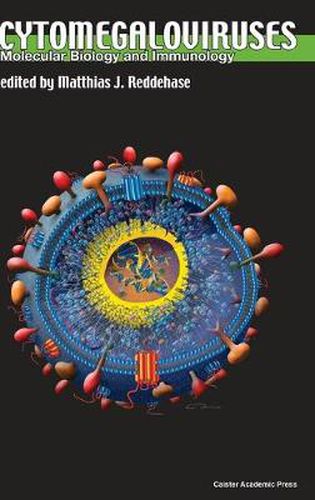 Cover image for Cytomegaloviruses: Molecular Biology and Immunology