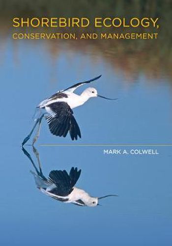 Cover image for Shorebird Ecology, Conservation, and Management