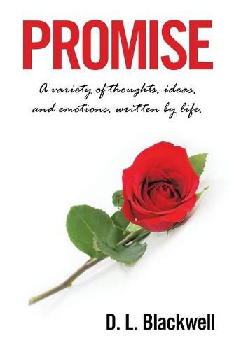 Cover image for Promise