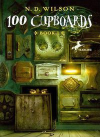 Cover image for 100 Cupboards