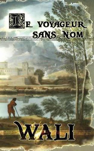 Cover image for Le voyageur sans nom