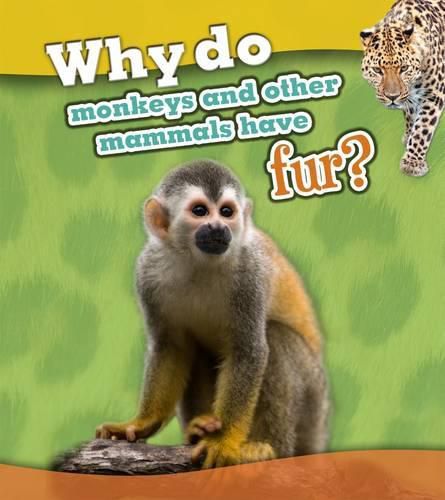 Cover image for Why Do Monkeys and Other Mammals Have Fur?