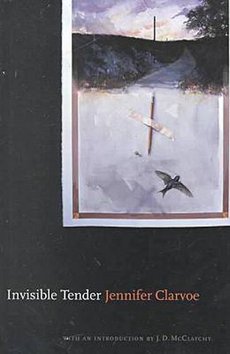 Cover image for Invisible Tender