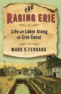 Cover image for The Raging Erie