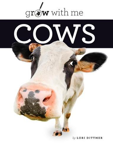 Cover image for Cows