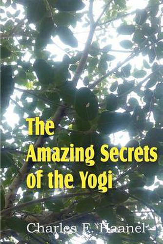 Cover image for The Amazing Secrets of the Yogi