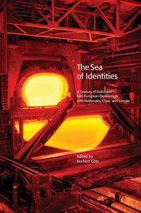 Cover image for The Sea of Identities: A Century of Baltic and East European Experiences with Nationality, Class, and Gender.