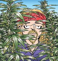 Cover image for The Weed Whisperer: A Doonesbury Book