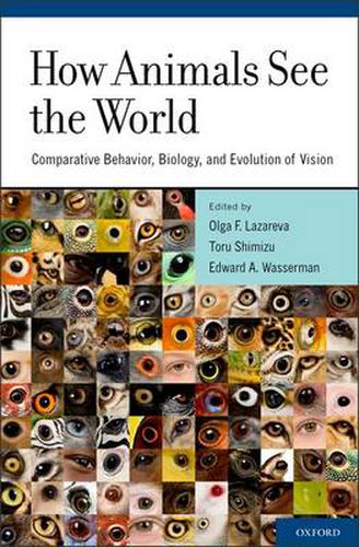 Cover image for How Animals See the World: Comparative Behavior, Biology, and Evolution of Vision