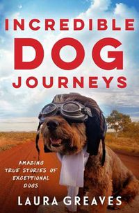 Cover image for Incredible Dog Journeys