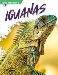 Cover image for Iguanas