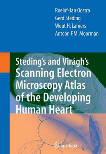 Cover image for Steding's and Viragh's Scanning Electron Microscopy Atlas of the Developing Human Heart