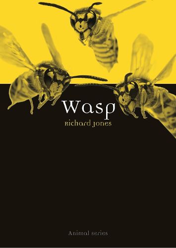 Cover image for Wasp