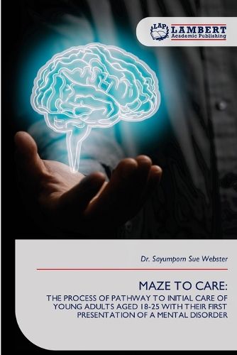 Cover image for Maze to Care