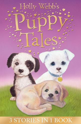 Cover image for Holly Webb's Puppy Tales: Alfie all Alone, Sam the Stolen Puppy, Max the Missing Puppy
