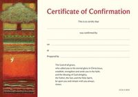 Cover image for CC3A Confirmation Cert (1=x10)