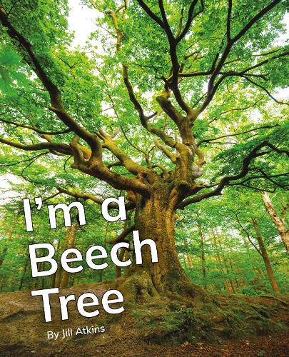 Cover image for I'm a Beech Tree