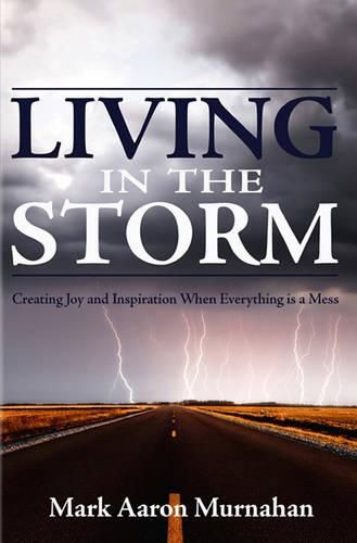 Cover image for Living in the Storm: Creating Joy and Inspiration When Everything is a Mess