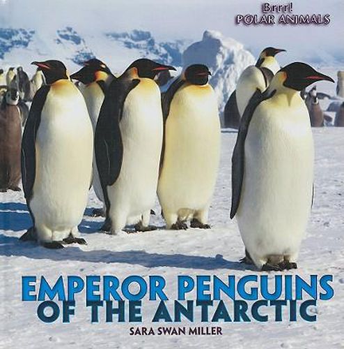 Emperor Penguins of the Antarctic