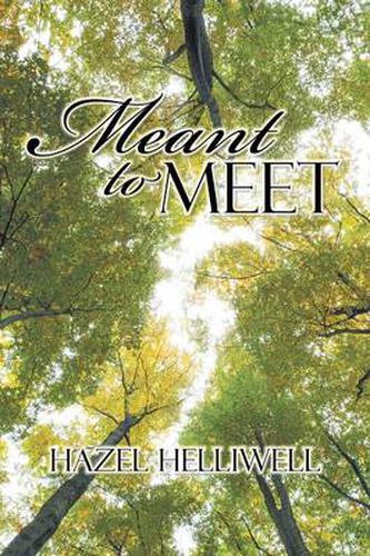 Cover image for Meant to Meet