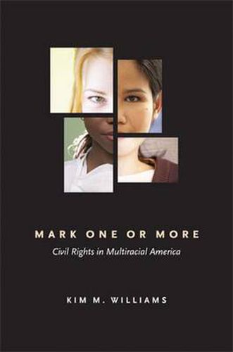 Cover image for Mark One or More: Civil Rights in Multiracial America