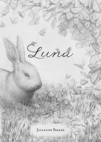 Cover image for Luna