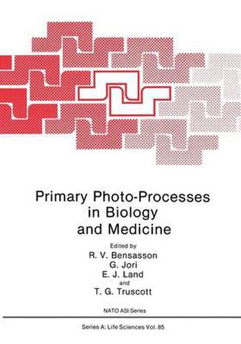 Cover image for Primary Photo-Processes in Biology and Medicine