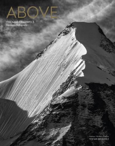 Cover image for Above
