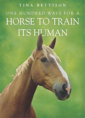 Cover image for One Hundred ways For a Horse To Train Its Human