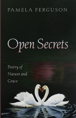 Cover image for Open Secrets