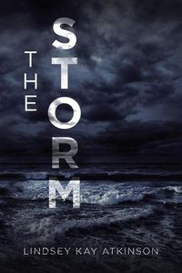 Cover image for The Storm