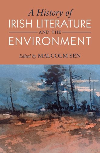 Cover image for A History of Irish Literature and the Environment