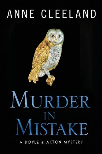 Cover image for Murder in Mistake
