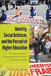 Cover image for Identity, Social Activism, and the Pursuit of Higher Education: The Journey Stories of Undocumented and Unafraid Community Activists