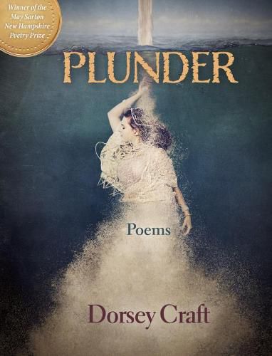 Cover image for Plunder: Poems