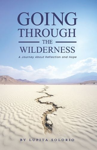 Cover image for Going Through the Wilderness