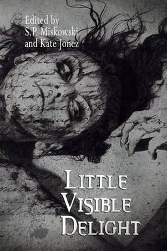 Cover image for Little Visible Delight