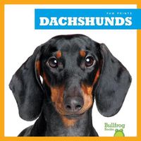 Cover image for Dachshunds