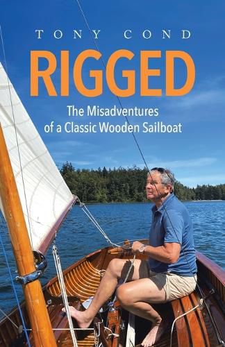 Cover image for Rigged