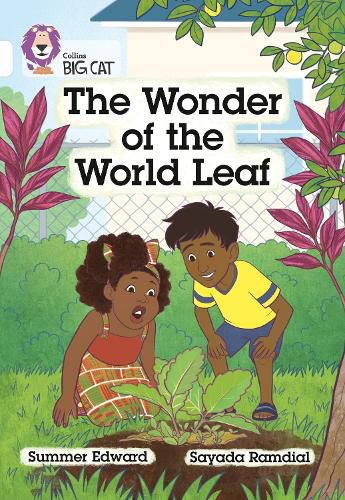 Cover image for The Wonder of the World Leaf: Band 10/White