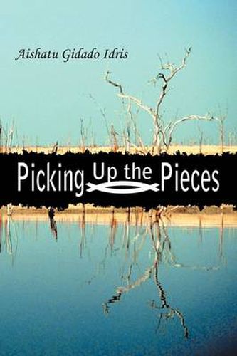 Cover image for Picking Up the Pieces