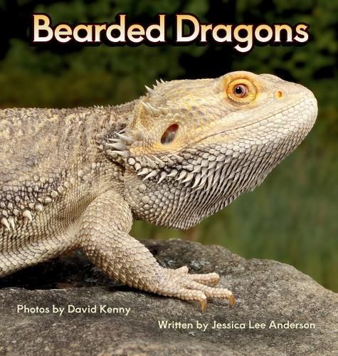 Cover image for Bearded Dragons