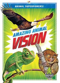 Cover image for Amazing Animal Vision