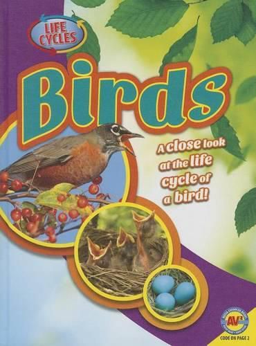 Cover image for Birds