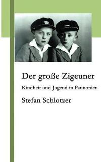 Cover image for Der grosse Zigeuner: Kindheit und Jugend in Pannonien