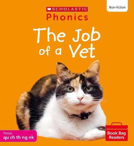 Cover image for The Job of a Vet (Set 4)